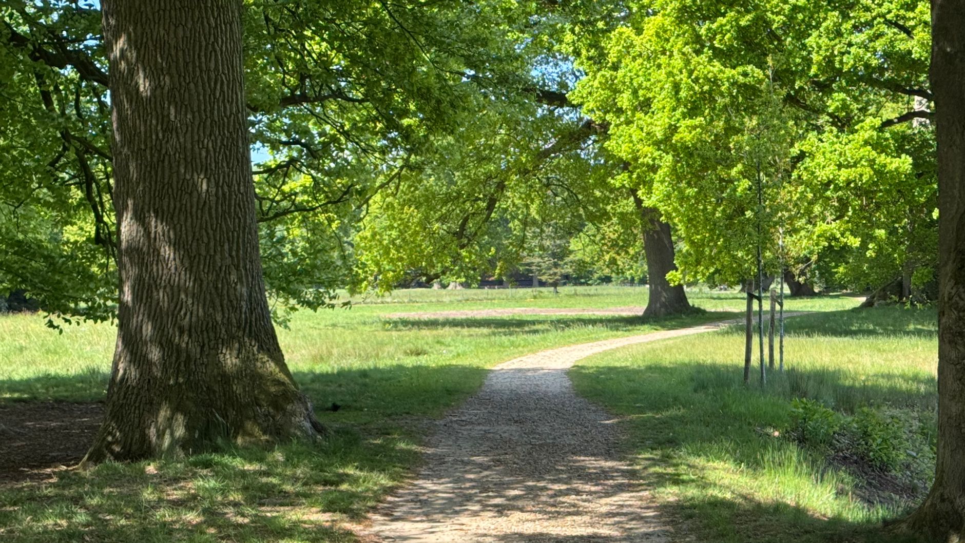 Lutte contre les nuisibles Maine-et-Loire